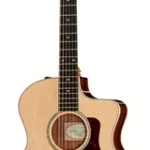 Guitare acoustique Taylor 214CE DLX FSG LTD | Test, Avis & Comparatif