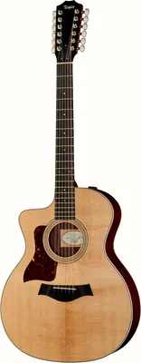 Taylor 254ce LH