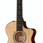 Guitare classique Taylor 312ce-N Nylon | Test, Avis & Comparatif