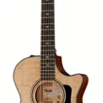 Guitare acoustique Taylor 312ce V-Class | Test, Avis & Comparatif