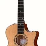 Guitare classique Taylor 314ce-N | Test, Avis & Comparatif