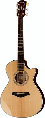 Taylor 412Ce-R-V-Class
