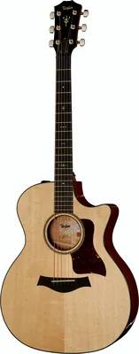 Taylor 514ce V-Class Bracing