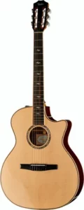 Taylor 814ce-N