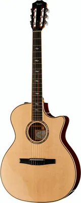 Taylor 814ce-N