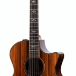 Guitare acoustique Taylor 914ce Limited | Test, Avis & Comparatif