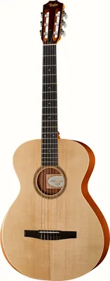 Taylor Academy Series 12e-N