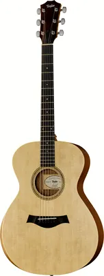 Taylor Academy Series 12e