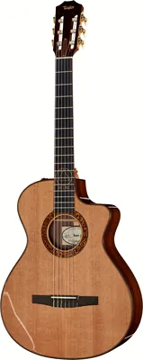 Taylor Jason Mraz Signature