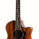 Guitare acoustique Taylor PS14ce Presentation | Test, Avis & Comparatif