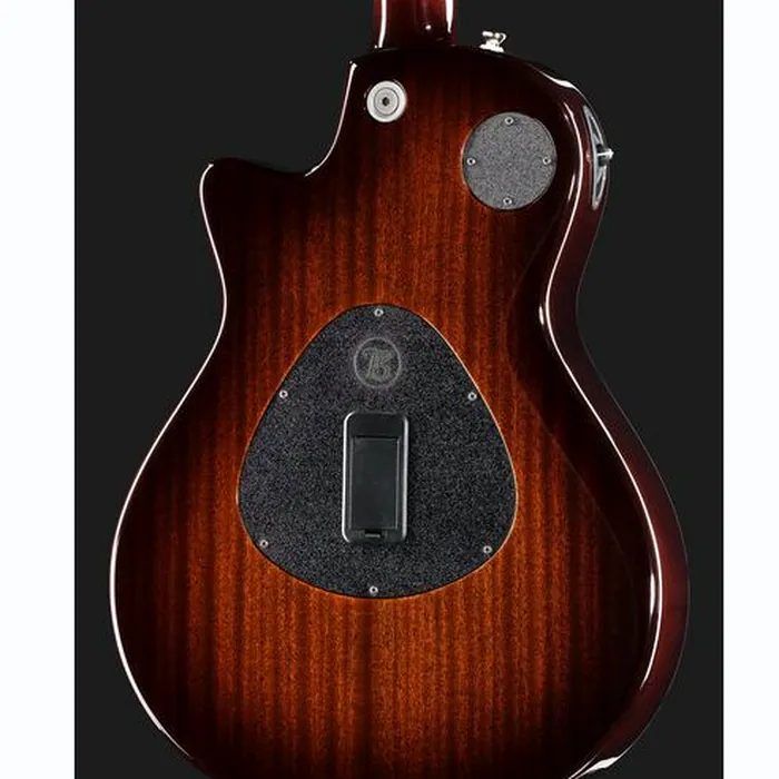 Taylor T5z Classic DLX,12-String,Reve – photo 7