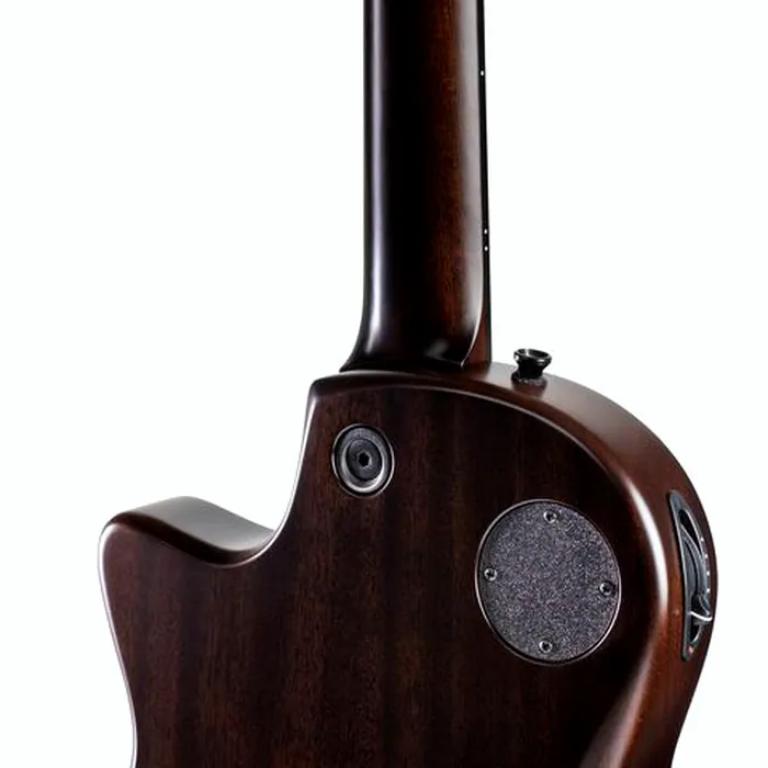 Taylor T5z Classic RW – photo 8