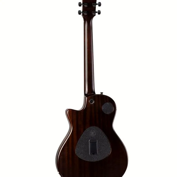 Taylor T5z Classic RW – photo 6