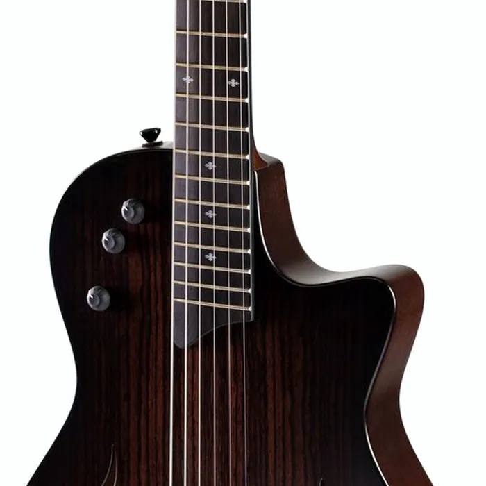 Taylor T5z Classic RW – photo 7