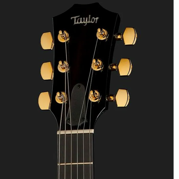 Taylor T5z Custom Koa – photo 8