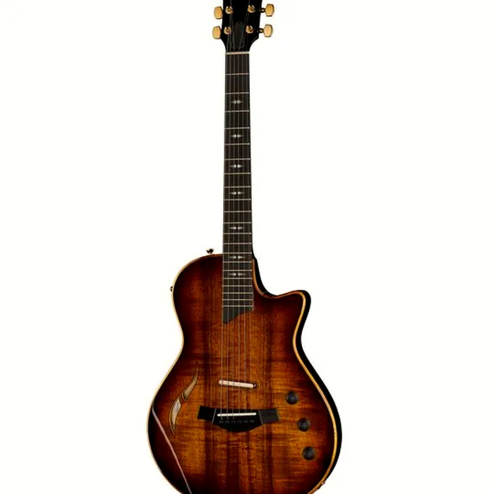 Taylor T5z Custom Koa – photo 2