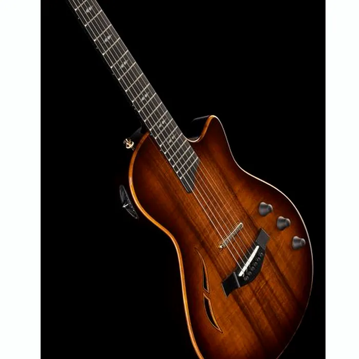 Taylor T5z Custom Koa – photo 12
