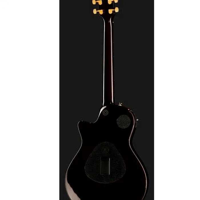 Taylor T5z Custom Koa – photo 5