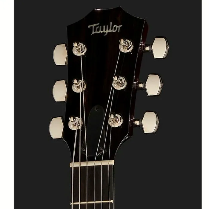 Taylor T5z Pro CR – photo 8