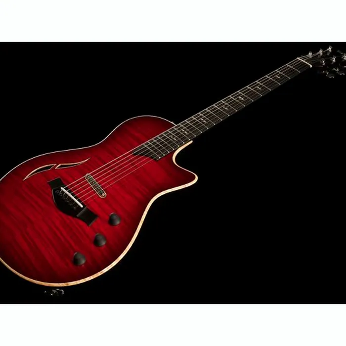 Taylor T5z Pro CR – photo 11