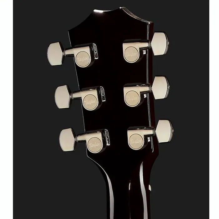 Taylor T5z Pro CR – photo 9