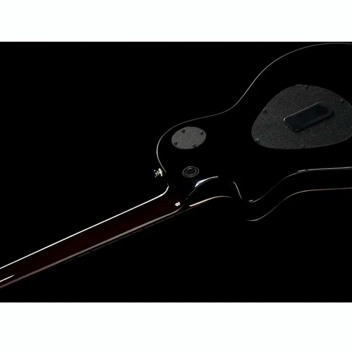 Taylor T5z Pro CR – photo 10