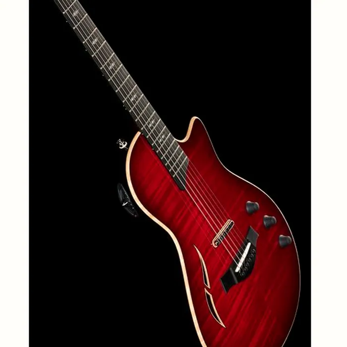 Taylor T5z Pro CR – photo 12