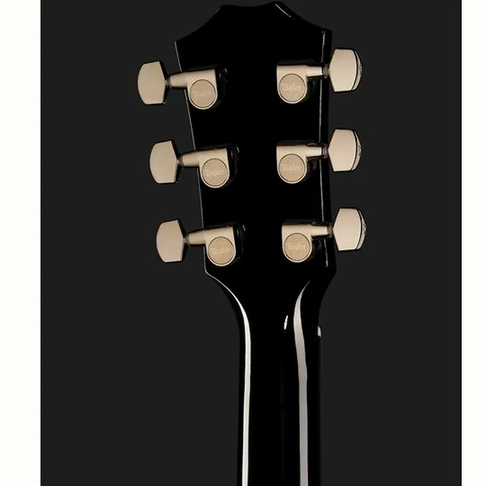 Taylor T5z Pro GV – photo 9