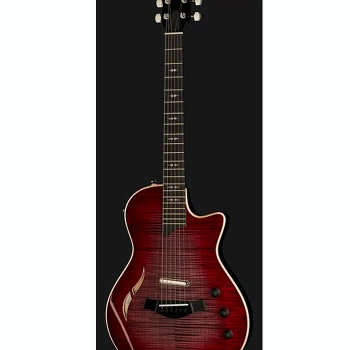 Taylor T5z Pro GV – photo 4