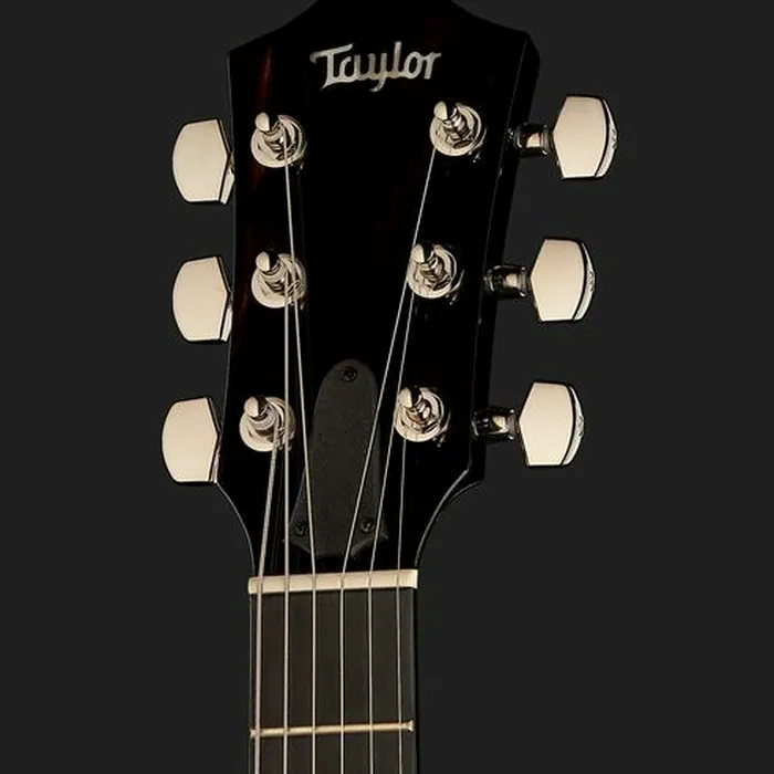 Taylor T5z Pro GV – photo 8