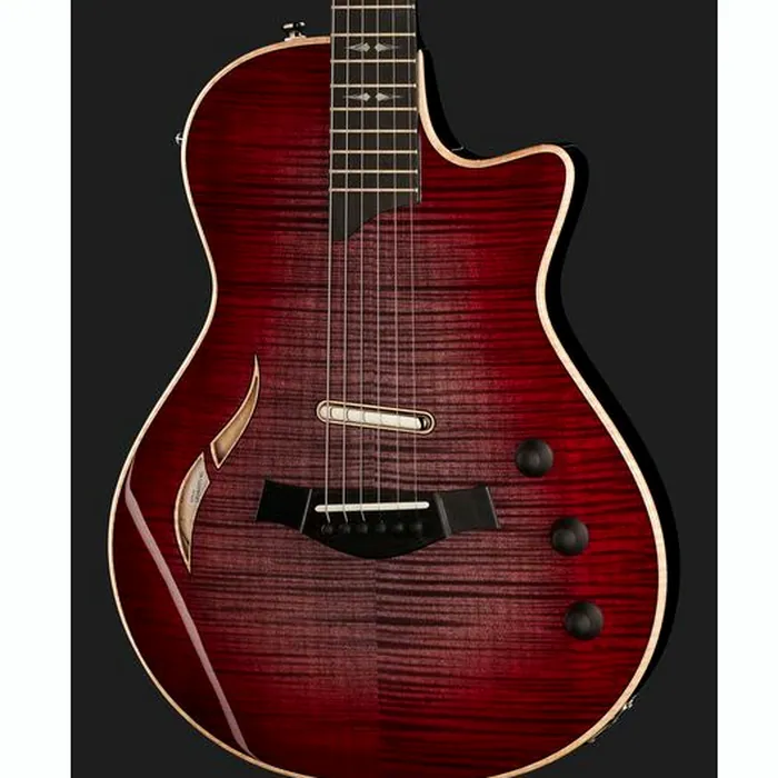 Taylor T5z Pro GV – photo 6