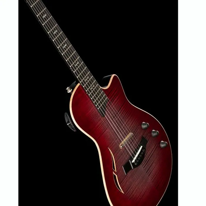 Taylor T5z Pro GV – photo 12