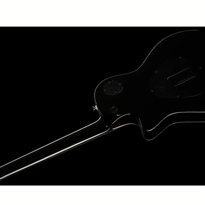 Taylor T5z Pro GV – photo 10