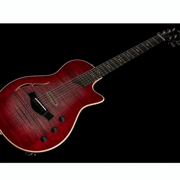 Taylor T5z Pro GV – photo 11