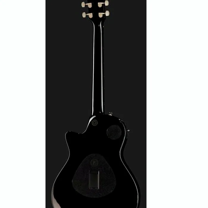 Taylor T5z Pro GV – photo 5