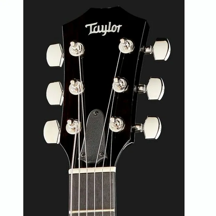Taylor T5z Pro HB – photo 8