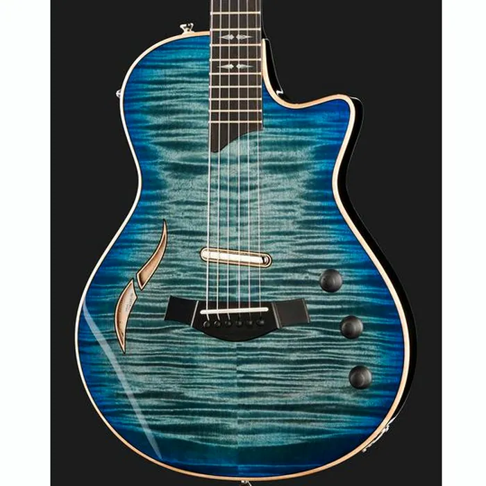 Taylor T5z Pro HB – photo 6