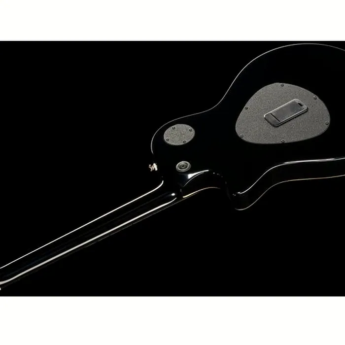 Taylor T5z Pro HB – photo 10