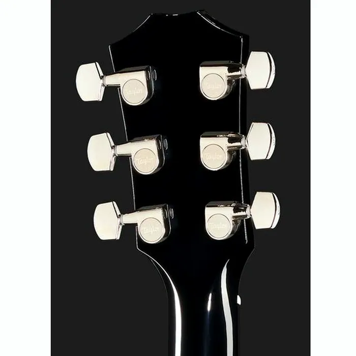 Taylor T5z Pro HB – photo 9