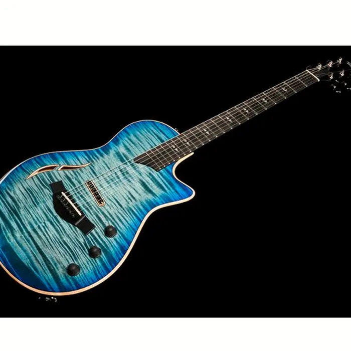 Taylor T5z Pro HB – photo 11