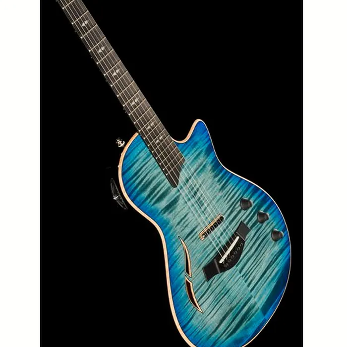 Taylor T5z Pro HB – photo 12
