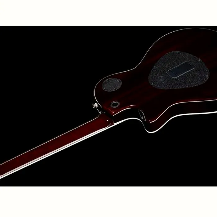 Taylor T5z Standard TS – photo 10