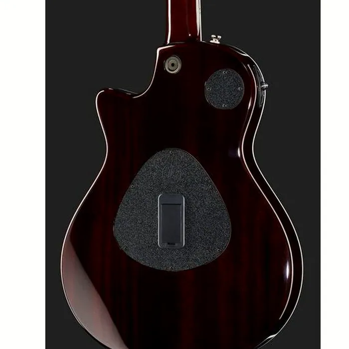 Taylor T5z Standard TS – photo 7