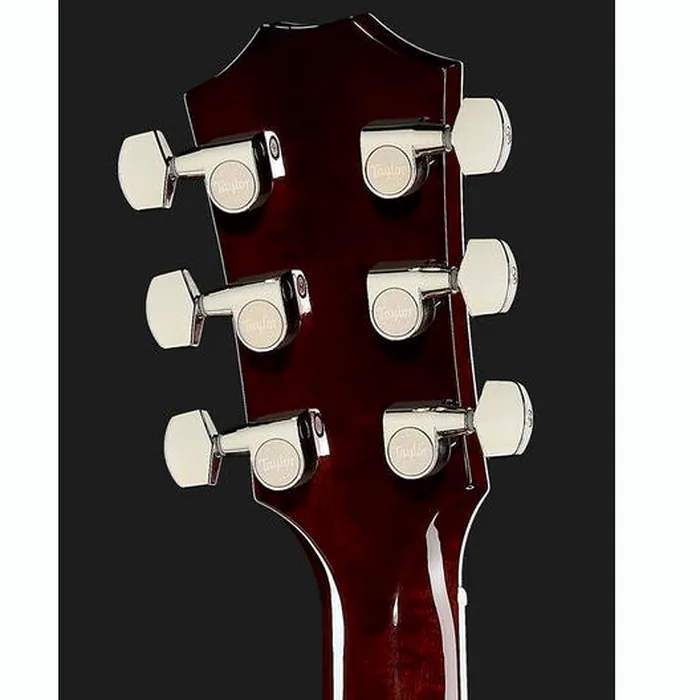 Taylor T5z Standard TS – photo 9