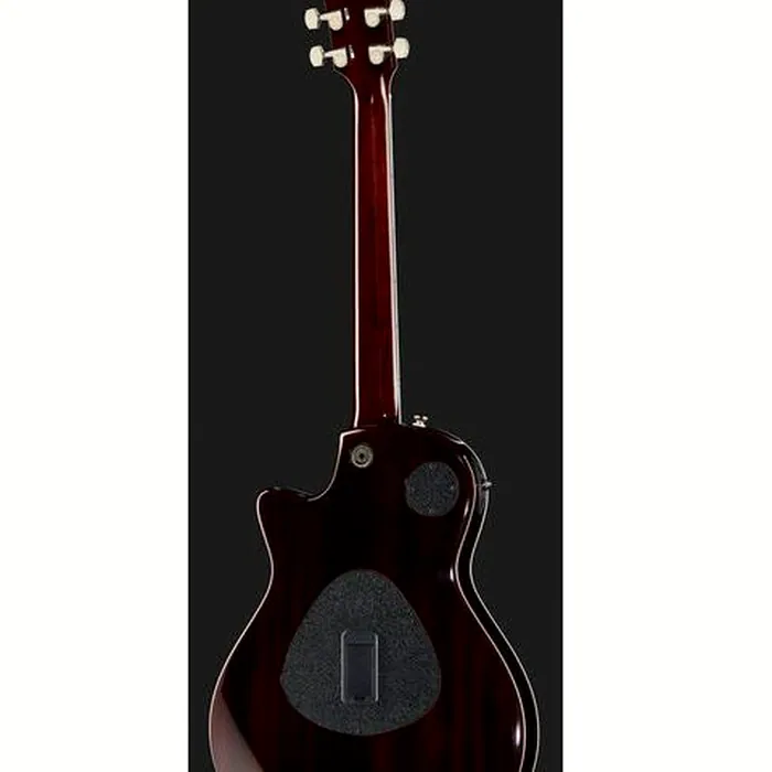 Taylor T5z Standard TS – photo 5