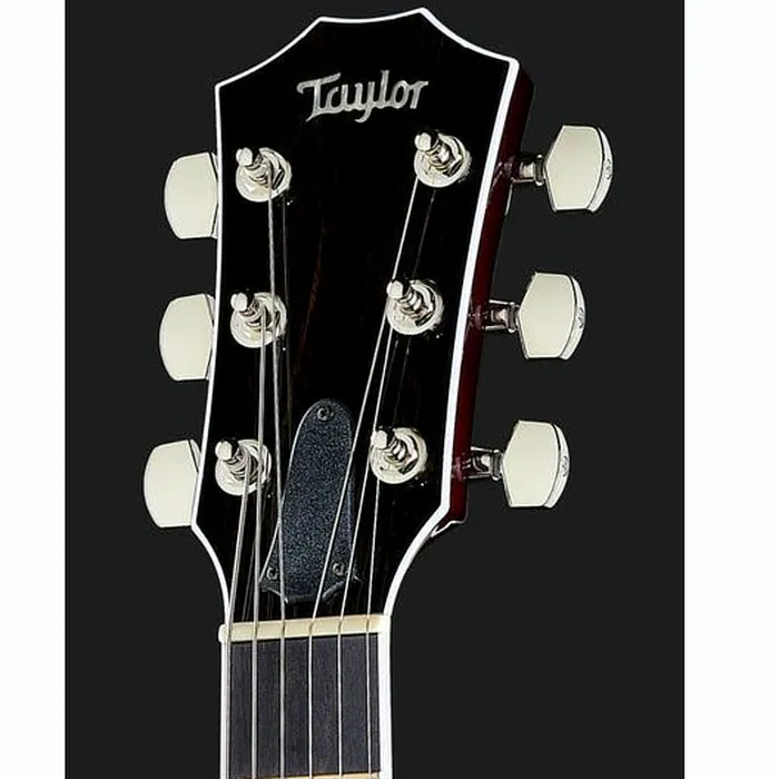 Taylor T5z Standard TS – photo 8
