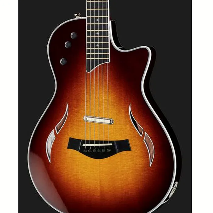 Taylor T5z Standard TS – photo 6