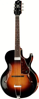 The Loar LH-350 VS