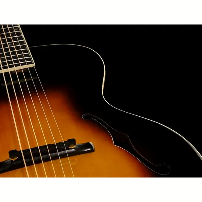 The Loar LH-700 VS – photo 11