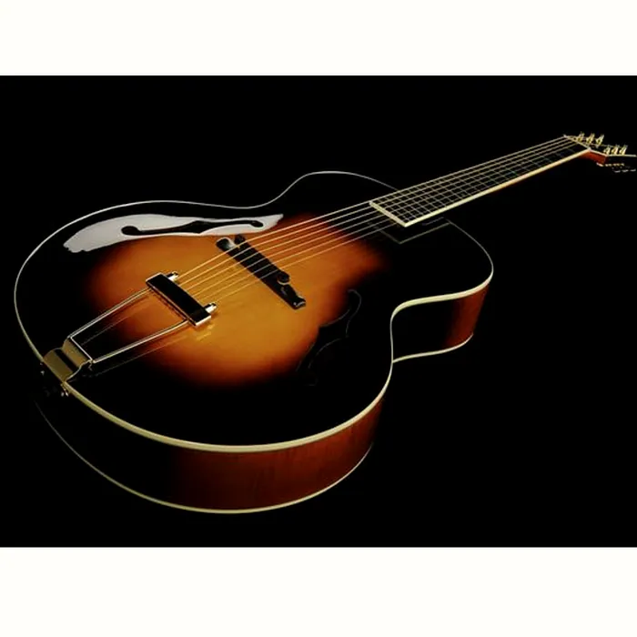 The Loar LH-700 VS – photo 12
